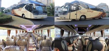 Jasa Sewa Bus Pariwisata Premium Dengan Harga Terjangkau